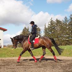 Anden særlig race _EMERSON