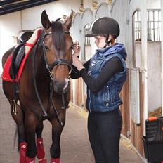 Anden særlig race _EMERSON