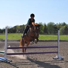 Anden særlig race Celina