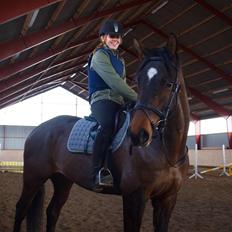 Trakehner Sabo*har redet*