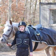 Anden særlig race Ozzy(gammel part)