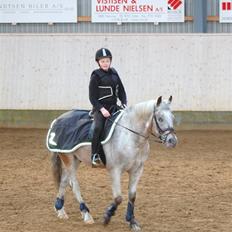 Anden særlig race Ozzy(gammel part)