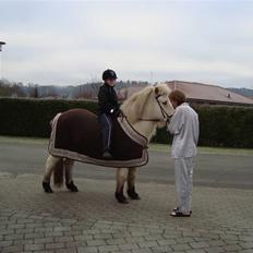 Islænder GLOSSI<3 solgt  :-(