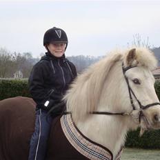 Islænder GLOSSI<3 solgt  :-(