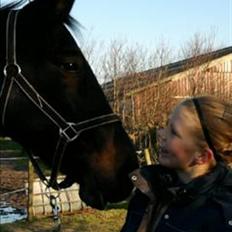 Anden særlig race R.I.P Min elskede Queen