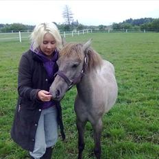 Anden særlig race Breaking Dawn <3 SOLGT