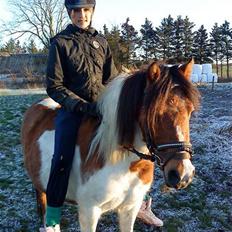 Anden særlig race Emma (Solgt)