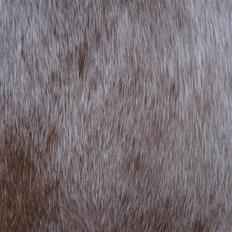 Highland Pony Stardust SOLGT