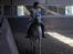 Anden særlig race Baunty - Ringridderfestivalsopvisning i Ry, Godt Horsemanship & Centreret Ridnings Ungdomsridelejr, august 2010
