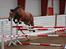 Anden særlig race Wanja<3  - Wuhuuu 130<3 Sådan skat<3<3