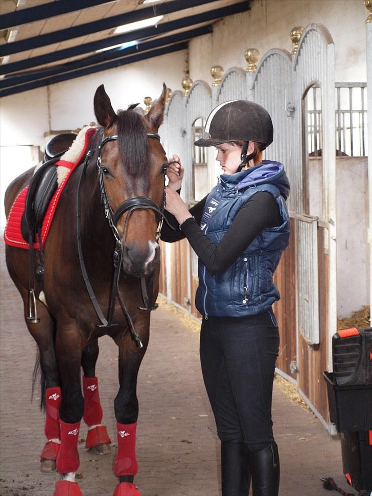 Anden særlig race _EMERSON - Emerson og Jeg d.17 maj. billede 3