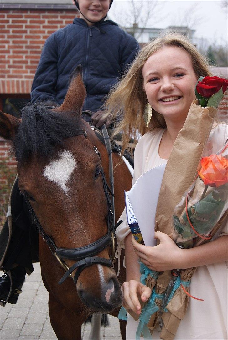 New Forest Marron (PART) - Marron til min konfirmation, 2011 billede 5