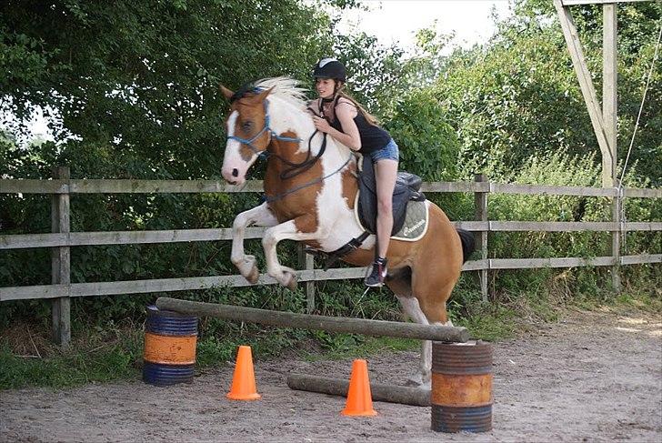 Anden særlig race Camino *CMNS* - Spring til opvisning på ridelejren!<3 Foto: Signe billede 14