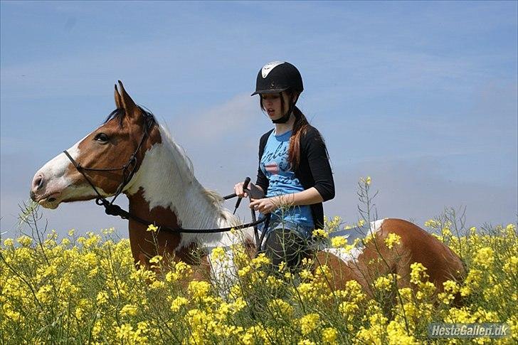 Anden særlig race Camino *CMNS* - Du gør mig glad! :*  Foto: Celine <3 billede 17