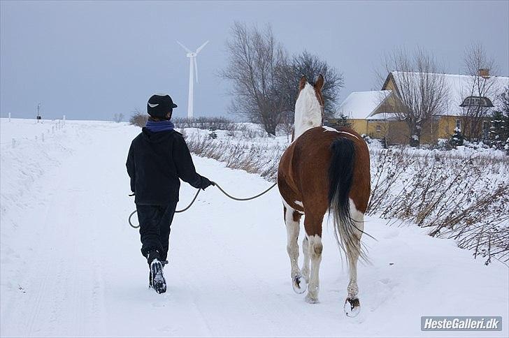 Anden særlig race Camino *CMNS* - Farvel her fra Mino og jeg <3 :D Foto: Julie <3 billede 20