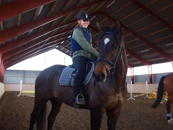 Trakehner Sabo*har redet* - spring ved jill 31/3 billede 1