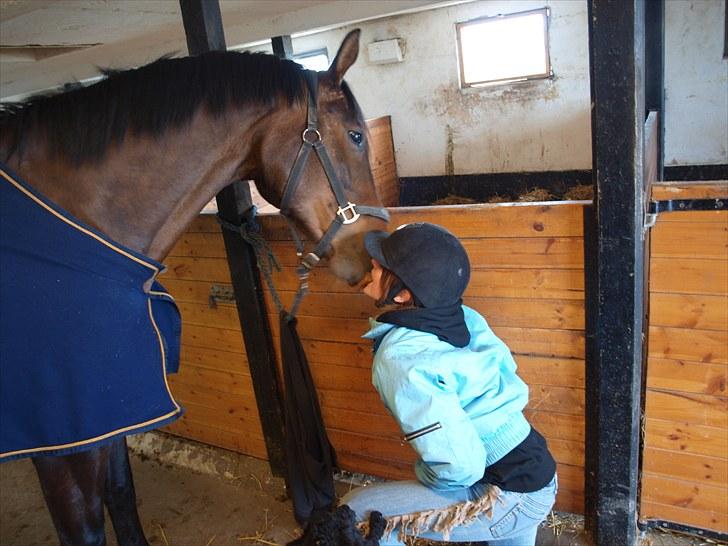 Trakehner Sabo*har redet* - 23-04-10 og jeg får et kys af Sabo drengen :) billede 13