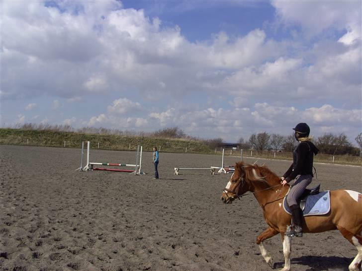 Pinto Jackpot <3 billede 11