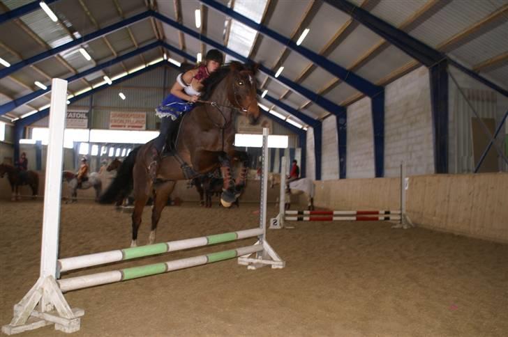 Holstener Ocean's Cypre - Vi var til hygge fastelavnsstævne :-D billede 7