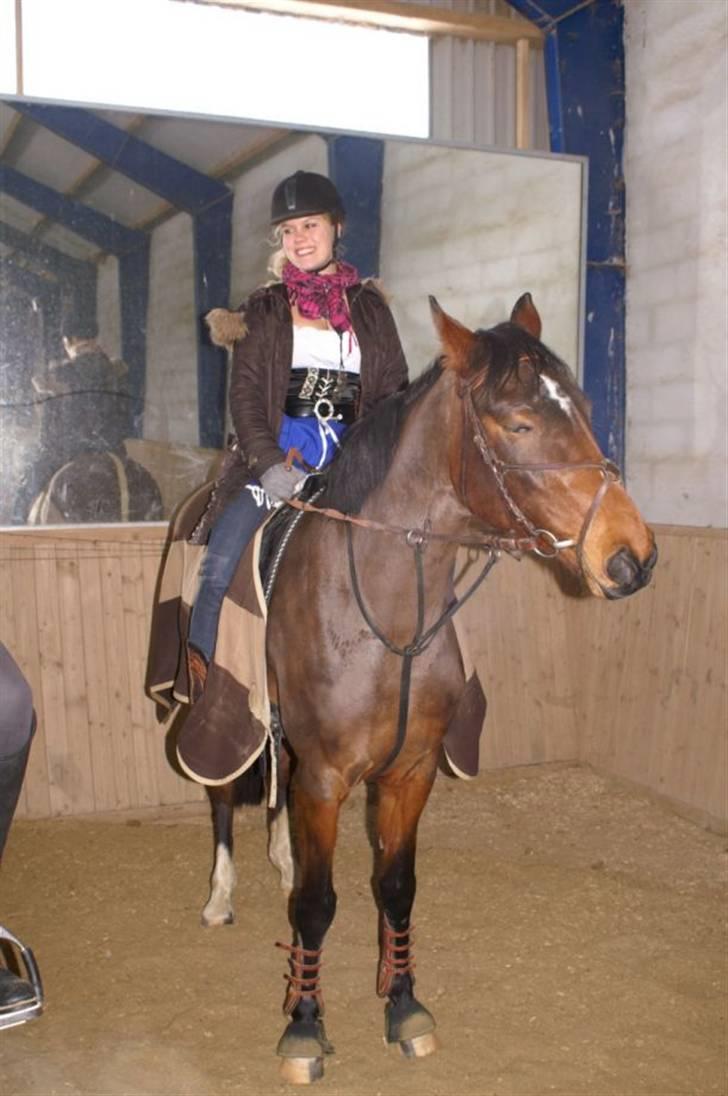 Holstener Ocean's Cypre - Hun var meget utålmodig inden at hun skulle ind og springe over de små forhindringer :b billede 8