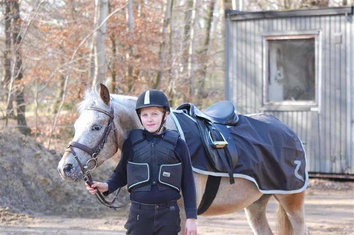 Anden særlig race Ozzy(gammel part) - på vej over til springtræning billede 2