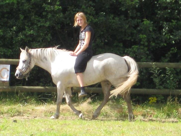 Anden særlig race Mille billede 8