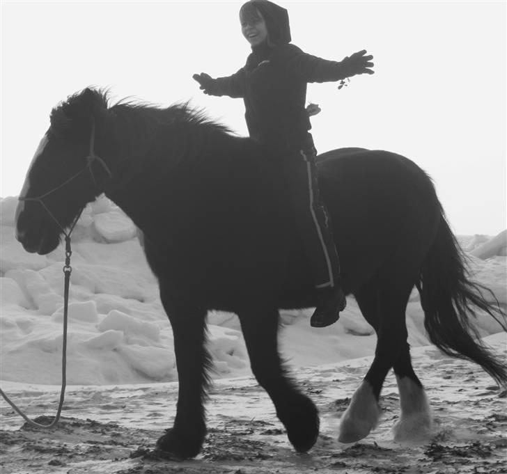 Tinker Miss I´Will - Wee :D  billede 17