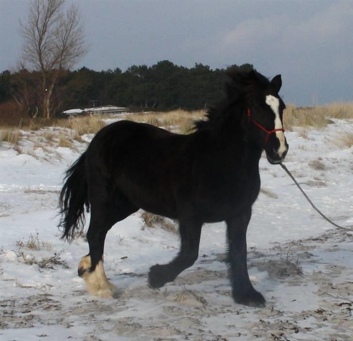 Tinker Miss I´Will billede 19