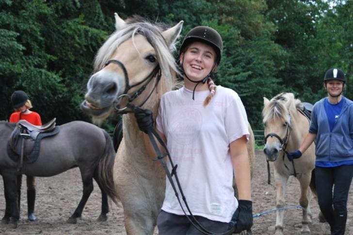 Fjordhest Alf - 10 Som hest så rytter Foto: Josefine Hilden billede 10