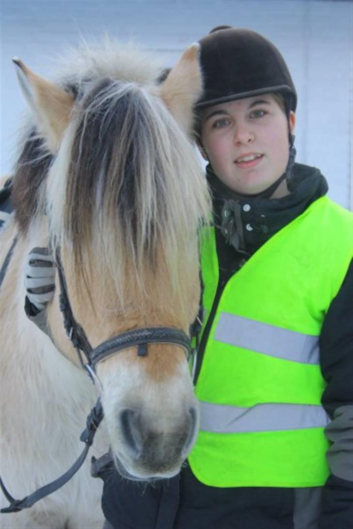 Fjordhest Alf - 12 En vinterdag på vej til ridehuset Foto: Christine Schade billede 12