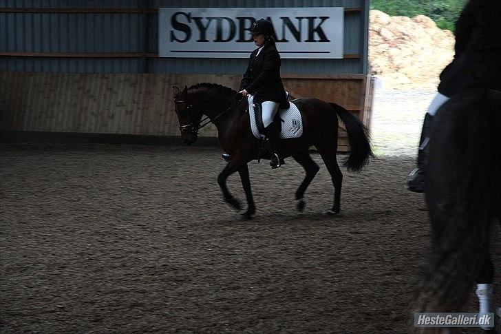 Standardbred great idea - lidt hidsig måske <3 billede 7