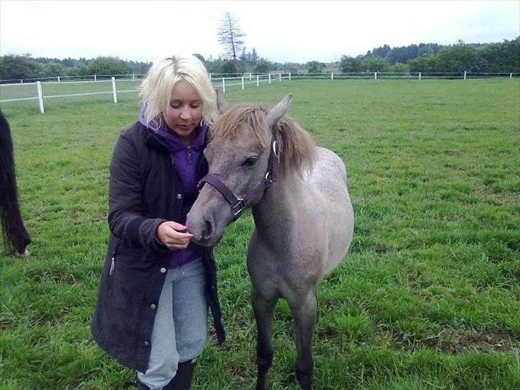 Anden særlig race Breaking Dawn <3 SOLGT - Smukke Dawn <3 billede 1