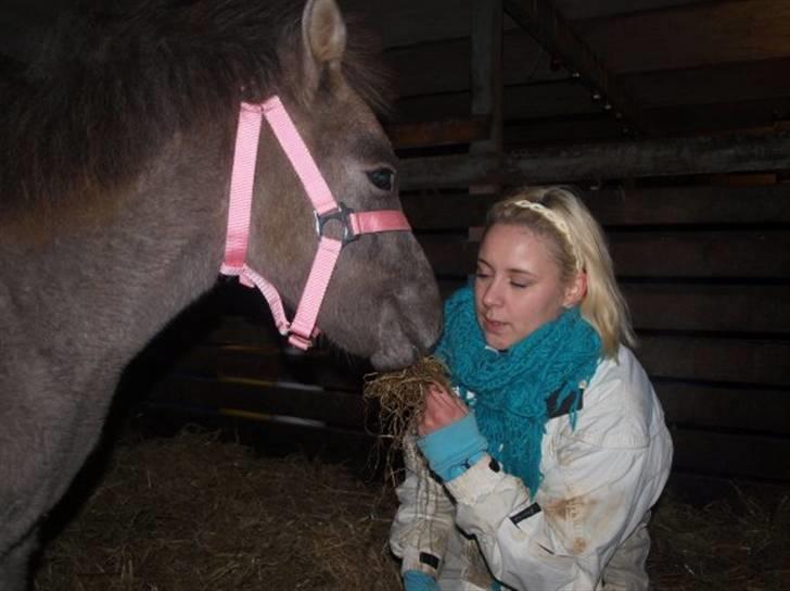 Anden særlig race Breaking Dawn <3 SOLGT billede 2