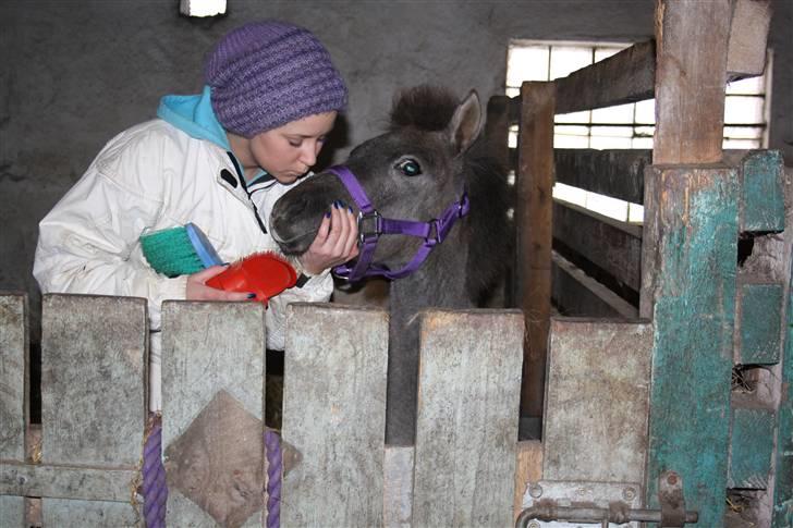 Anden særlig race Breaking Dawn <3 SOLGT - møøøøz <3 billede 5