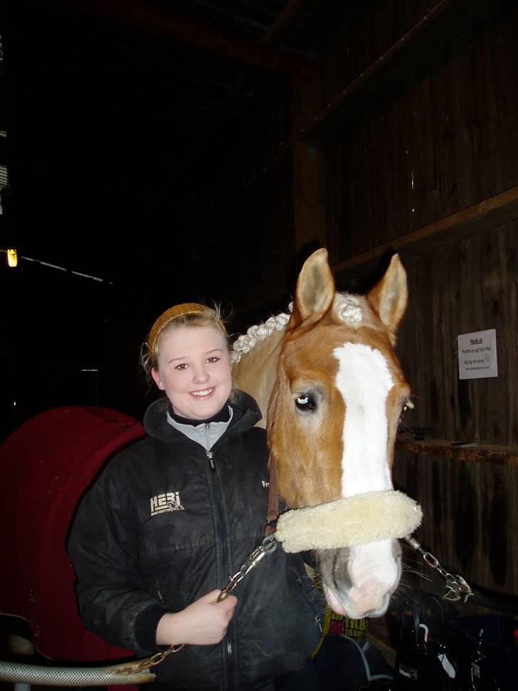 Haflinger Studgårdens Sally<3 *STJERNEN* Savnet :'(<3 - mig og sally til dressur stævnet hvor vi vandt lb2en.. du er perfeckt min skat  billede 12