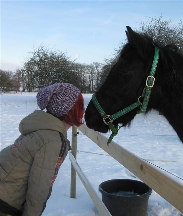 Anden særlig race Casanto - Billede 10 - Elsker det seriøst ;D billede 11