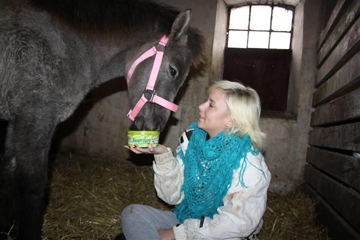 Anden særlig race Breaking Dawn <3 SOLGT billede 9