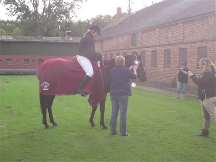 Fuldblod (XX) Killroy - Vinder distriksmesterskab distance 2009 billede 11