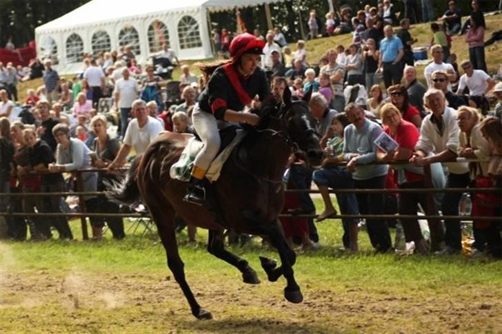 Fuldblod (XX) Killroy - Aså væddeløb 2009  billede 13