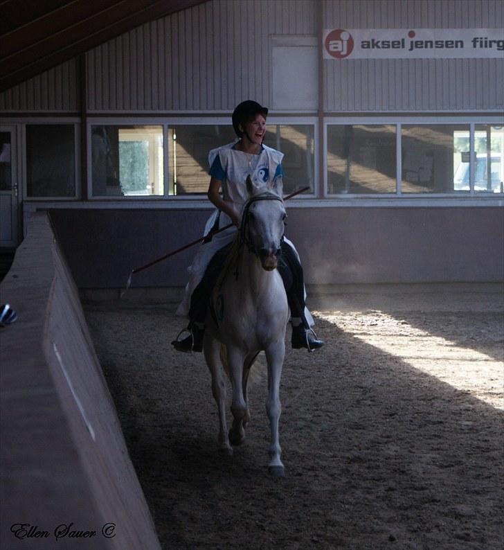 Anden særlig race Baunty - Ringridderfestivalsopvisning i Ry, Godt Horsemanship & Centreret Ridnings Ungdomsridelejr, august 2010 billede 13