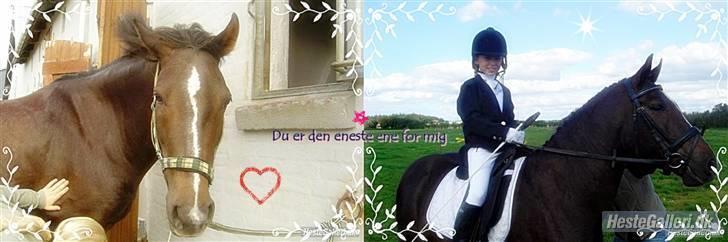 Anden særlig race Reval - VIL ALDRIG GLEMME DIG!!! billede 13