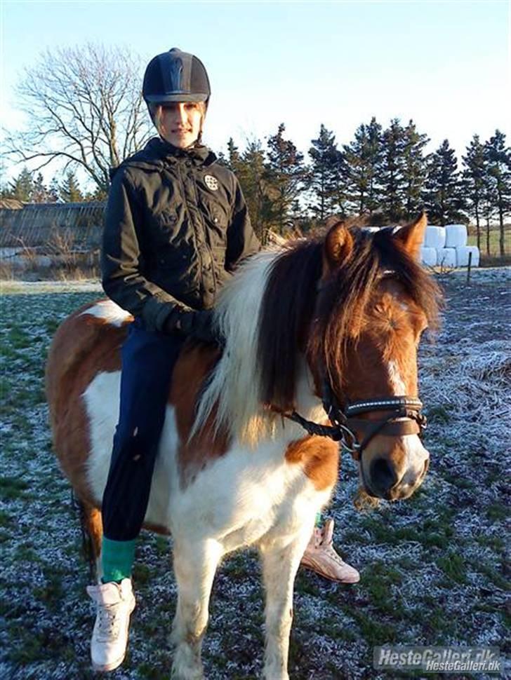 Anden særlig race Emma (Solgt) - Randi rider på Emma uden sadel<3 billede 2