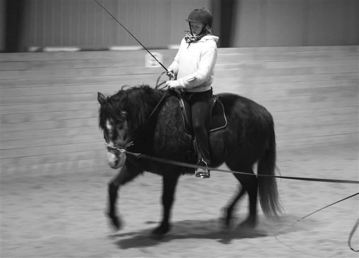 Cruzado MAÑOSO - I trav til undervisning :) foto: Lykke billede 8