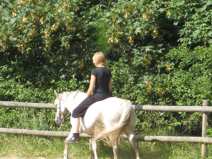 Anden særlig race Mille - Hun er så fin med den :P billede 10