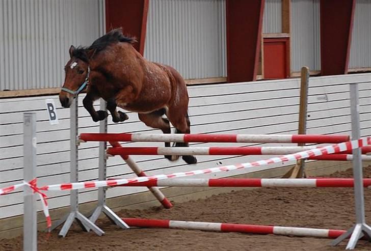 Anden særlig race Wanja<3  - Wuhuuu 130<3 Sådan skat<3<3 billede 13