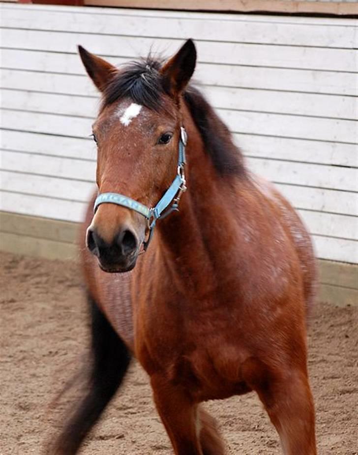 Anden særlig race Wanja<3  - <3<3 billede 14