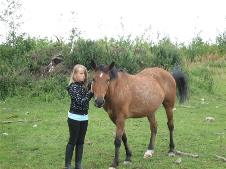 Anden særlig race Wanja<3  - Første gang jeg ser hende, hjemme hos os<3  billede 17