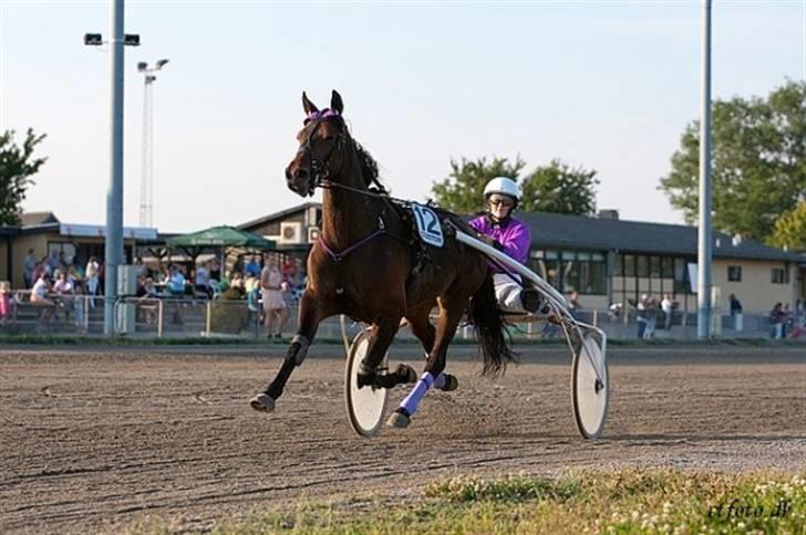 Traver Kiss mac laid - mit første travløb med hoppen... fik en 1 plads på nykøbing f travbane...  billede 1