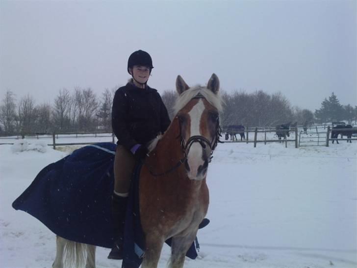 Haflinger PRINS - *SAVNET* - mig og prins, i sneen :D<3 billede 5