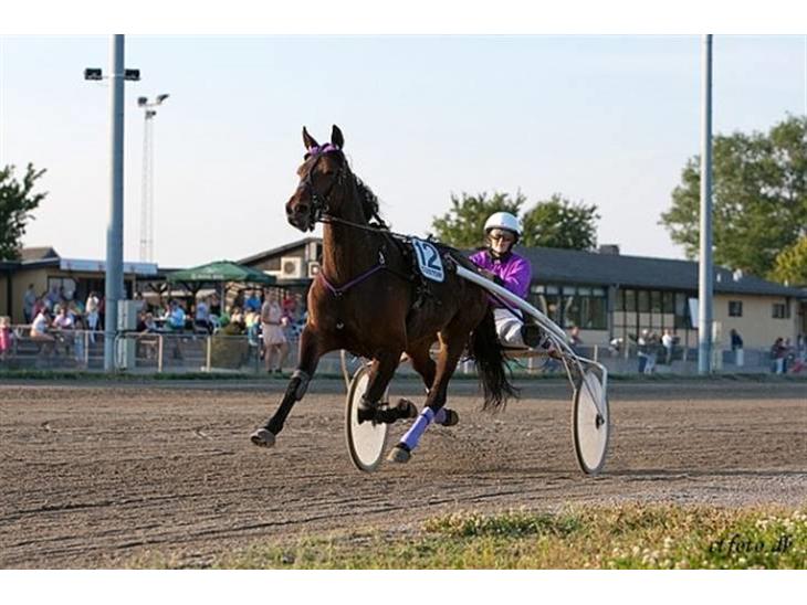 {{currentPhoto.altText}} billede {{currentPhoto.number}}